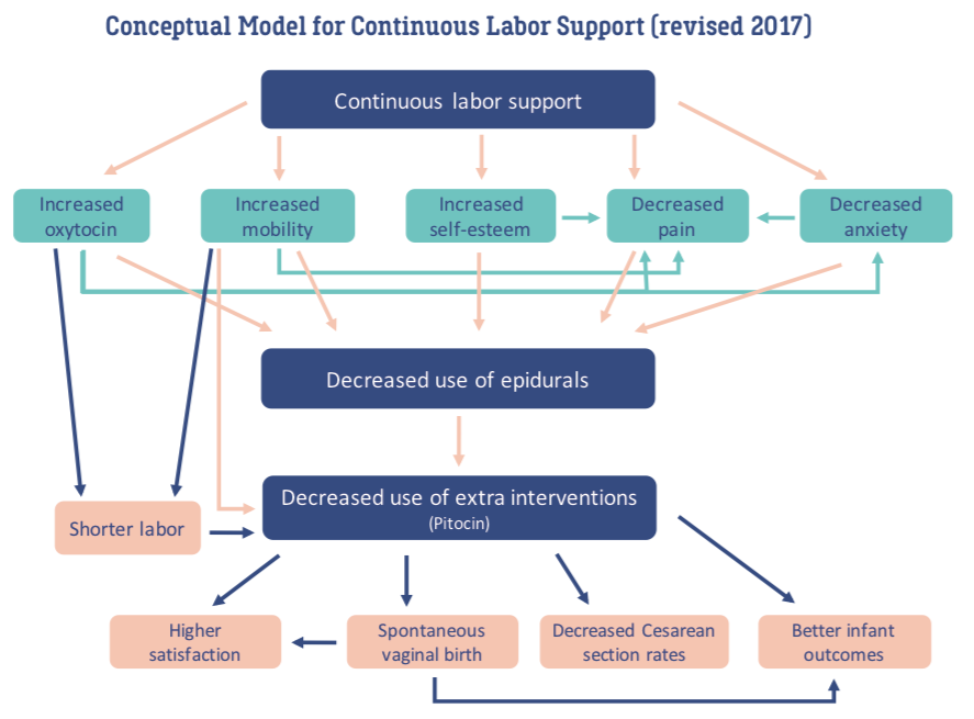 ConceptualModelDoulasrevised2017